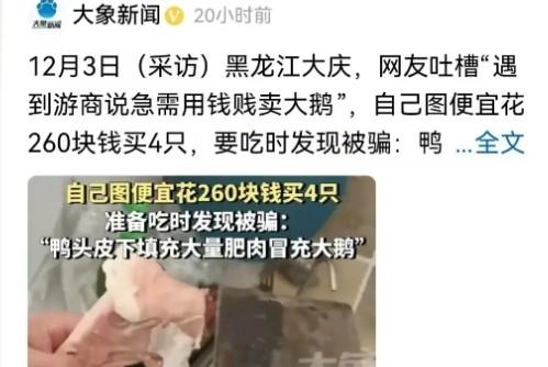 12 月 3 日，黑龙江大庆一男子捡到大便宜，仅花 240 元就购入 4 只大鹅