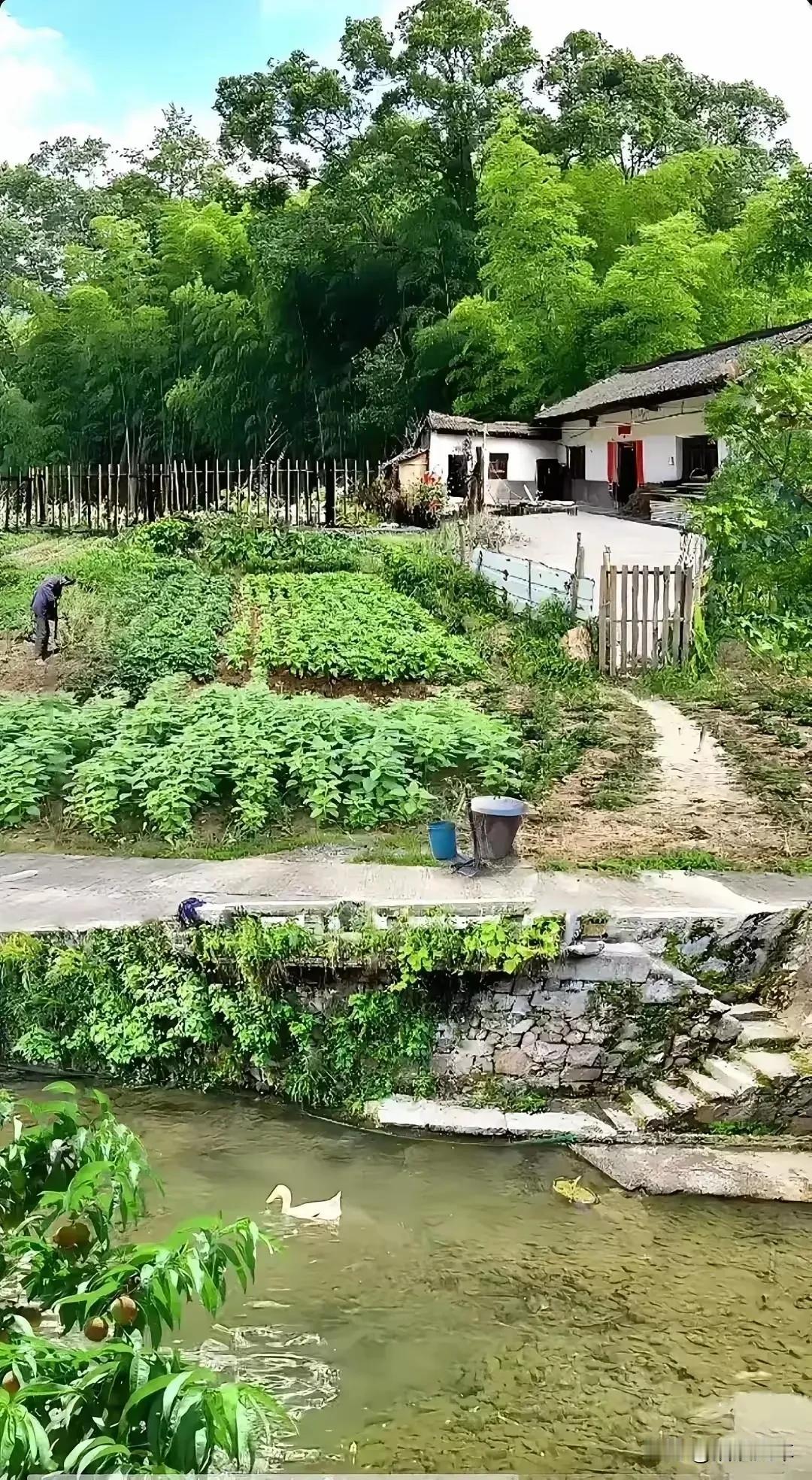 今天发工资了，立既跟爸妈转款2000，这是今年离家那天拍的老房子的相片，今年出来