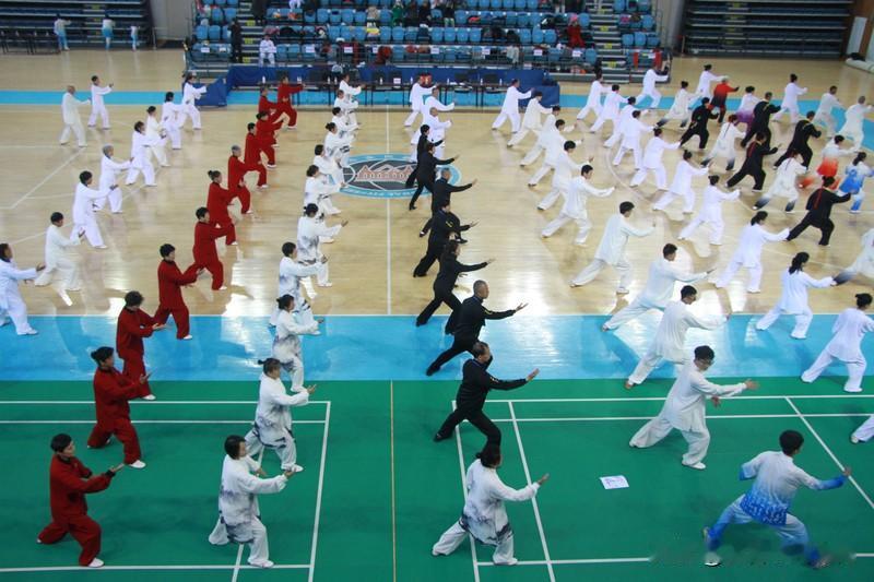 有一次参加全国性的太极拳比赛。
参加比赛的有几名在各类全国性大赛中获得冠军和金牌