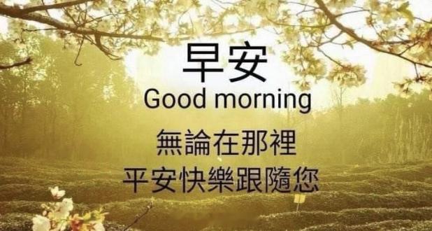 五一假期文旅市场井喷式增长已经假期第三天了，时间过的真快啊！大家早安 ​​​