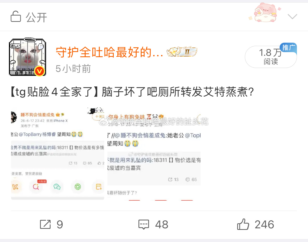 这条plq都咔了哈。两个测置顶都写了🈲艾特 