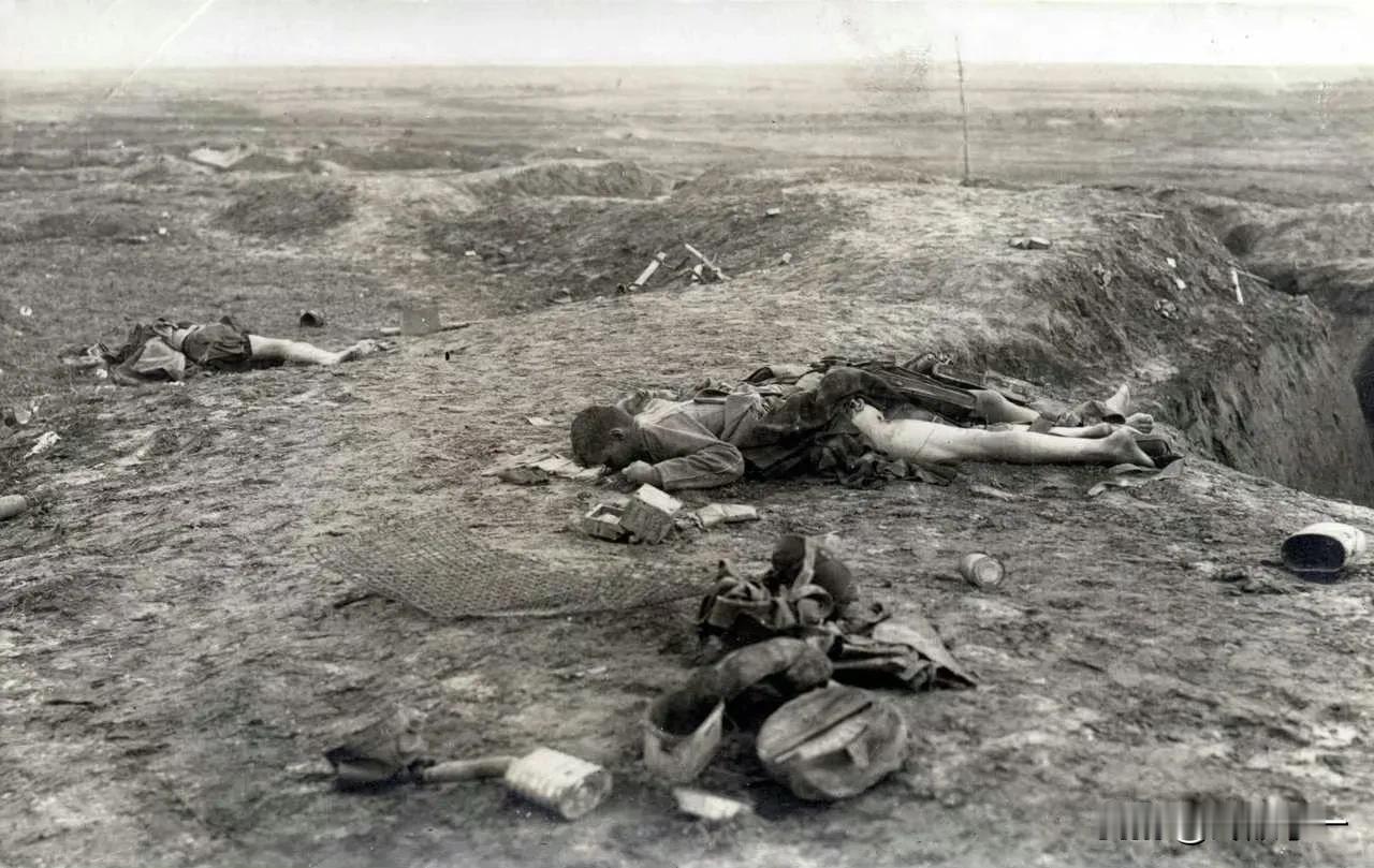1916年，西线法国战场，暴尸荒野的三具英军士兵尸体，拾荒者翻遍它们拾取有用物品