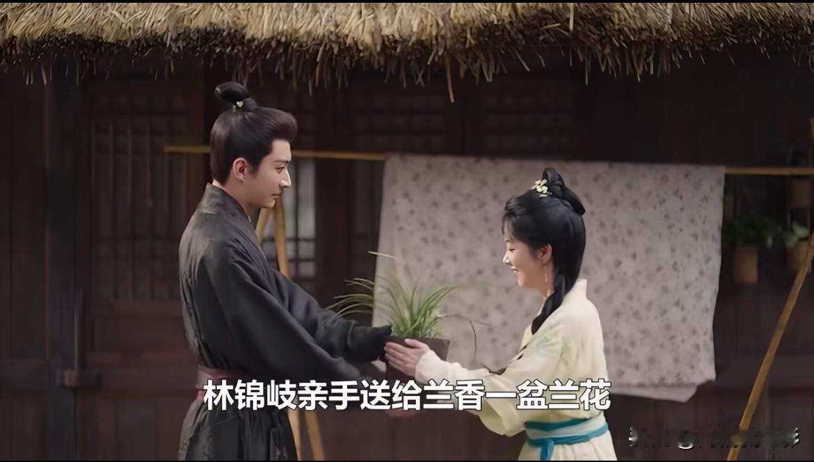 《兰香如故》21、22集预告看得人窒息。许兰香刚脱离奴籍，还没歇口气，就因为林锦