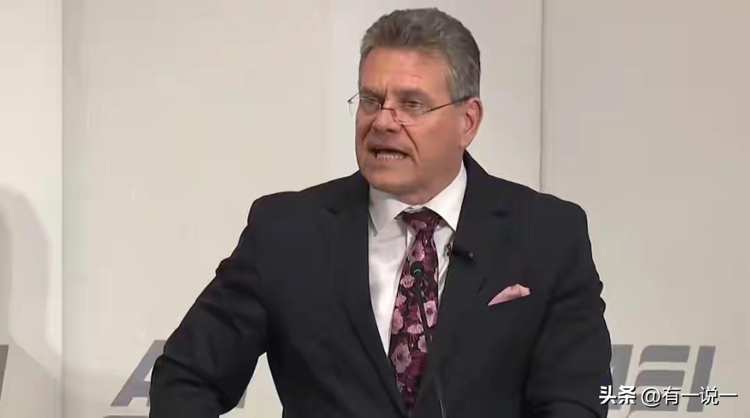 搂草打兔子，中国顺手教训欧盟

11月5日，欧盟贸易专员谢夫乔维奇在科威特
说，