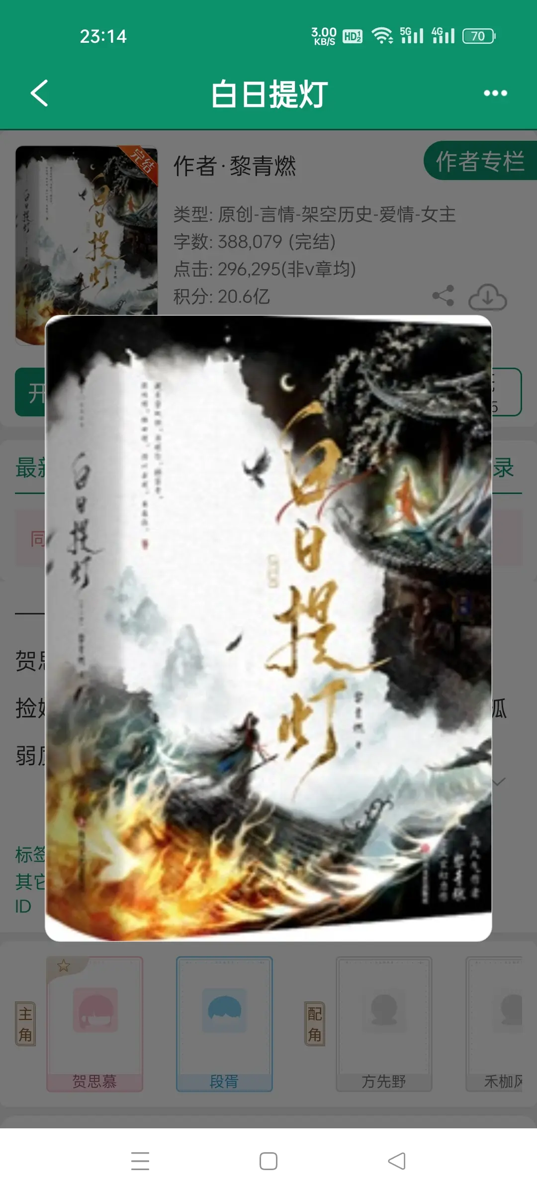 白日提灯，作者黎青燃。