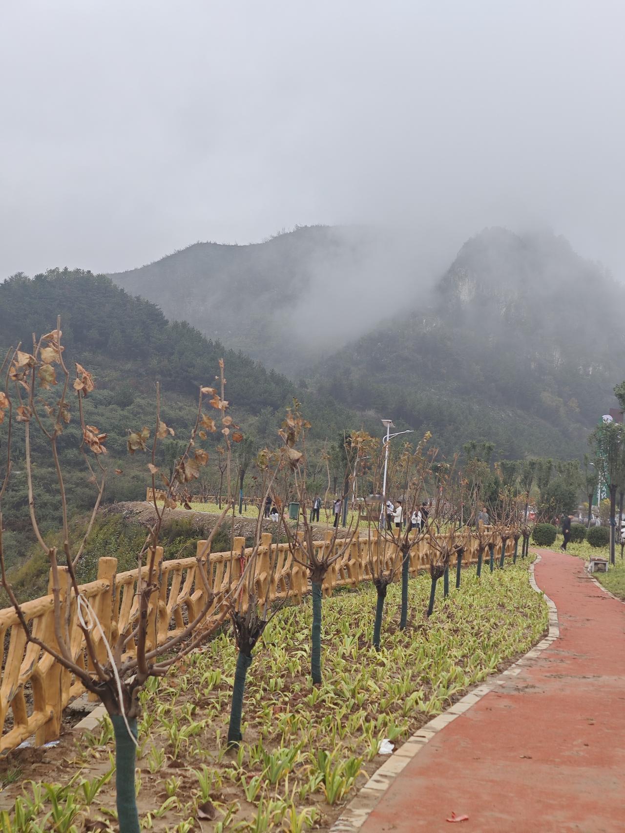 《七言•岁月泪》
作者：转转看到


几度风雨几重霜，
几度徘徊几彷徨。
几番挣
