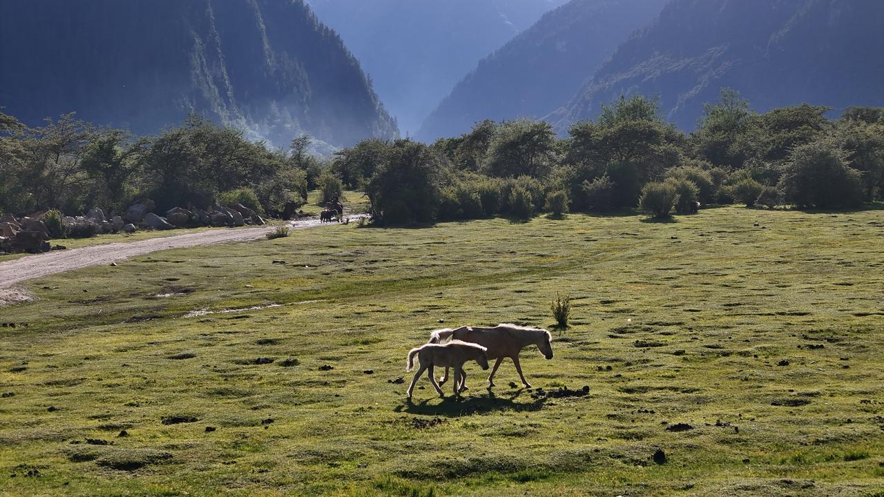 “有路必有丰田车”，这句神级广告语奠定了一汽丰田可靠、稳定的形象，也将其刻在基因