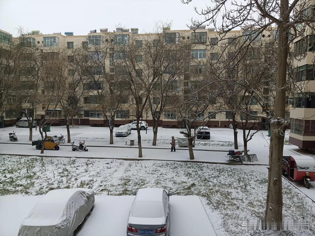 下雪了，又一场冬雪降临了武威。

雪是昨晚开始下的，虽是小雪，飘落下来覆盖在地面