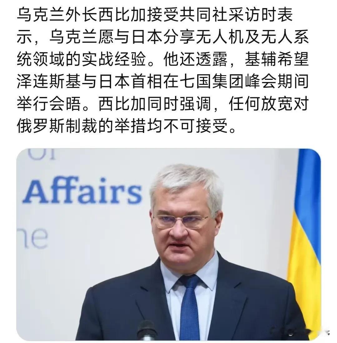 乌克兰外长西比加接受共同社采访时表示，乌克兰愿与日本分享无人机及无人系统领域的实