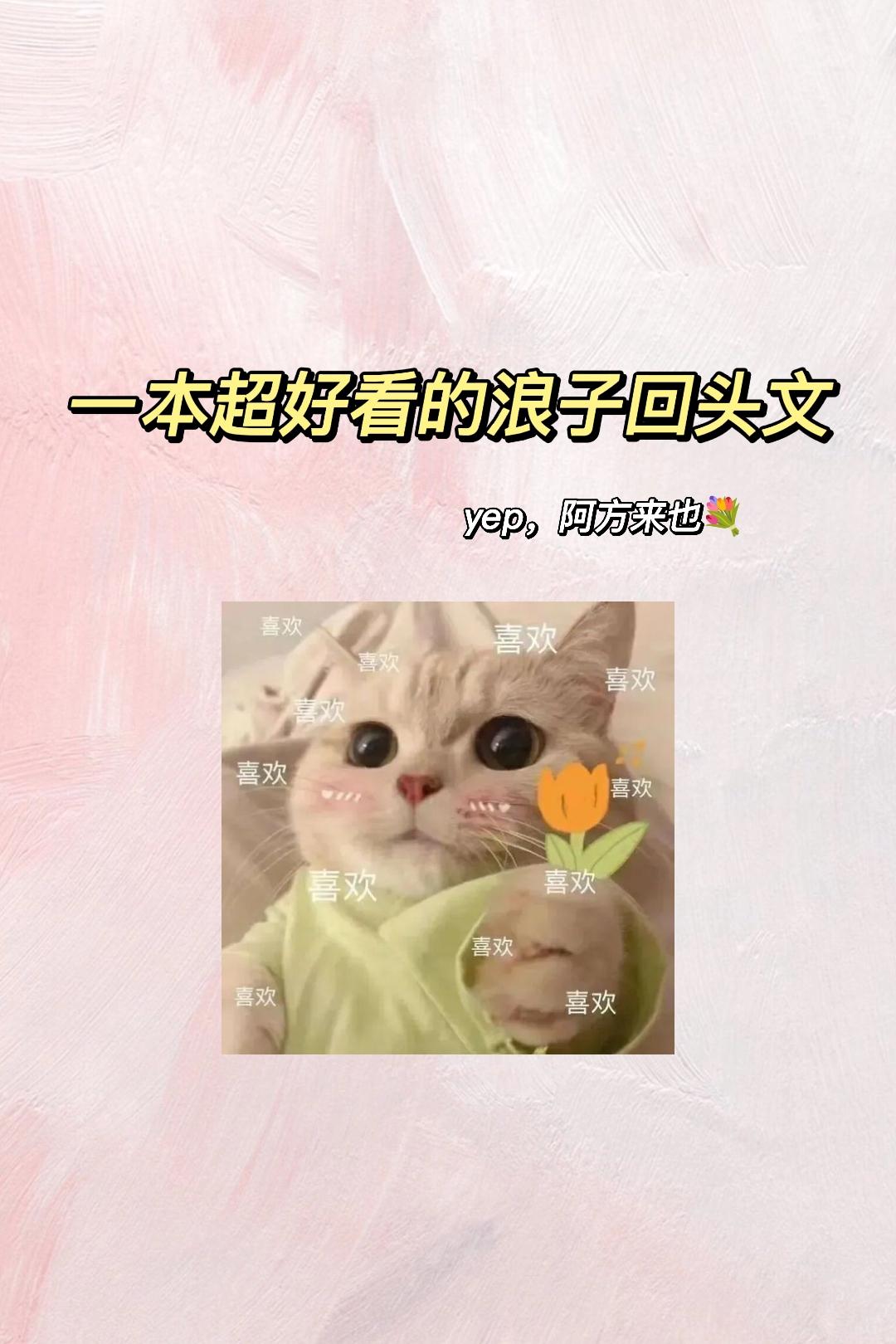 浪子回头文~阿方来咯！