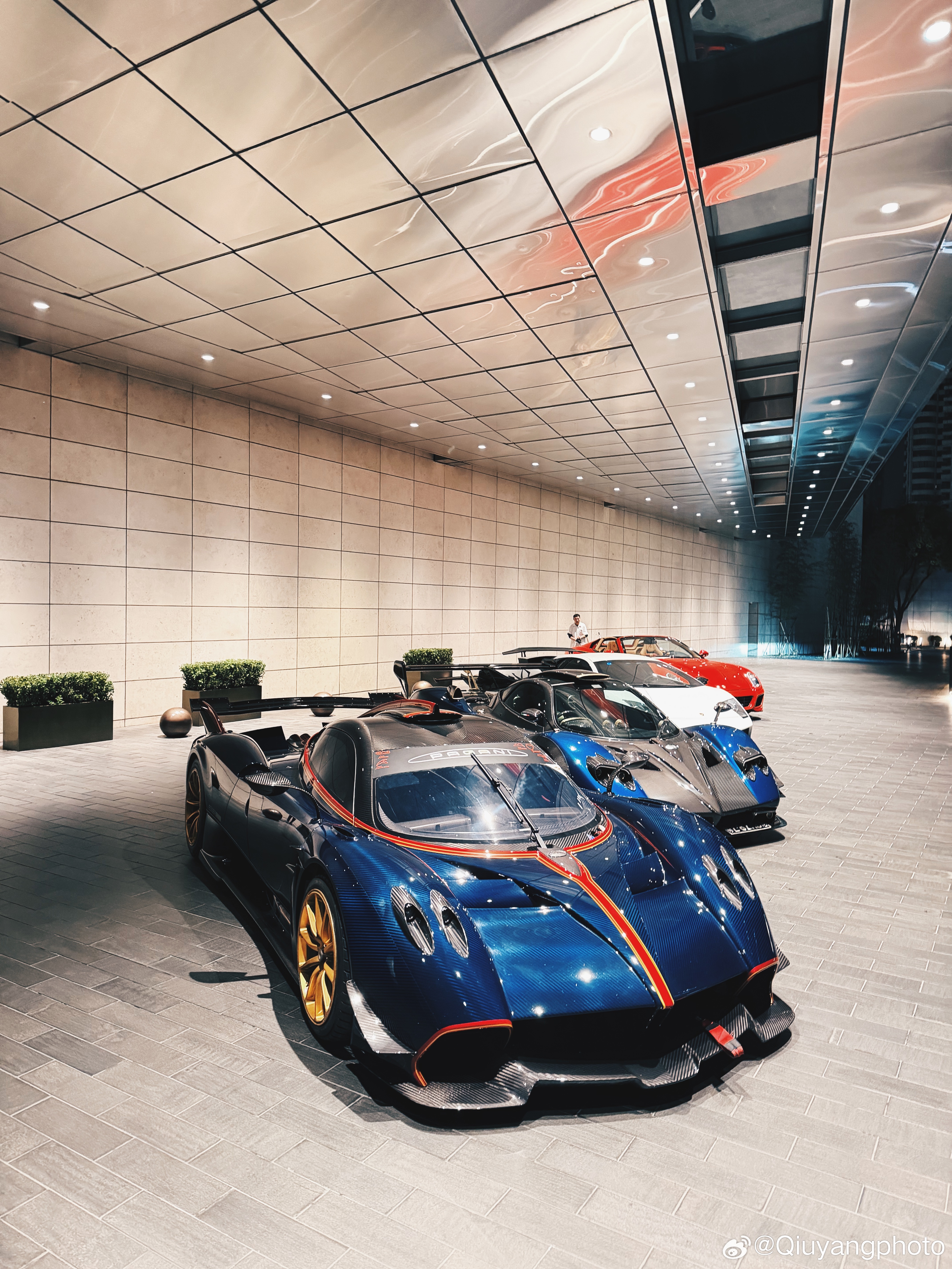 又是一年的樱花季 上海