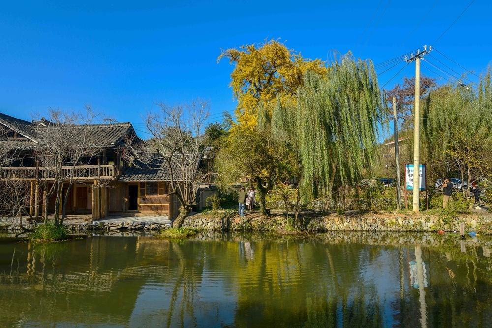 庄子《在宥》十四

云将曰：“然则吾奈何？”鸿蒙曰：“意！毒哉！僊僊（xian）