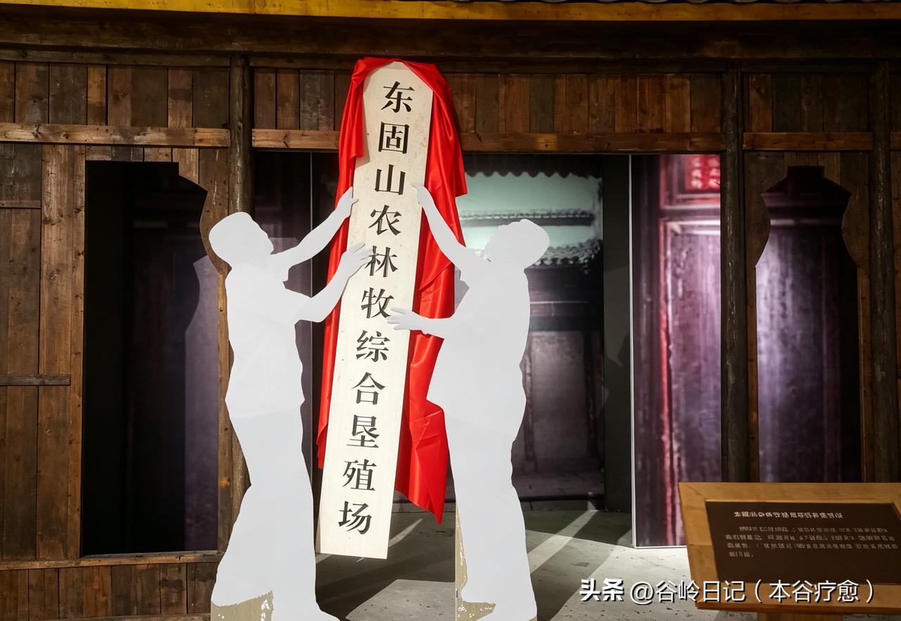 谷岭日记（2026年7月9日·晴）

四个同学在谷岭住了两个晚上，今天要走。早饭