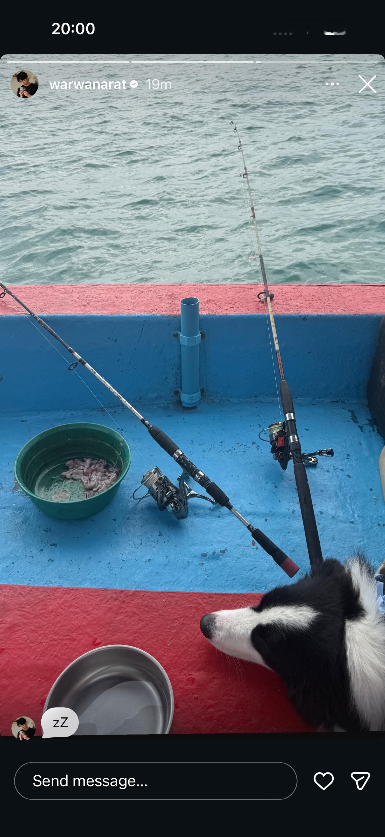 YinWarIgUpdate 20560711小狗在钓鱼的时候困了可爱可爱