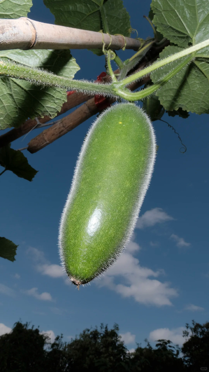 给大家多科普一些坏习惯误区的可怕 