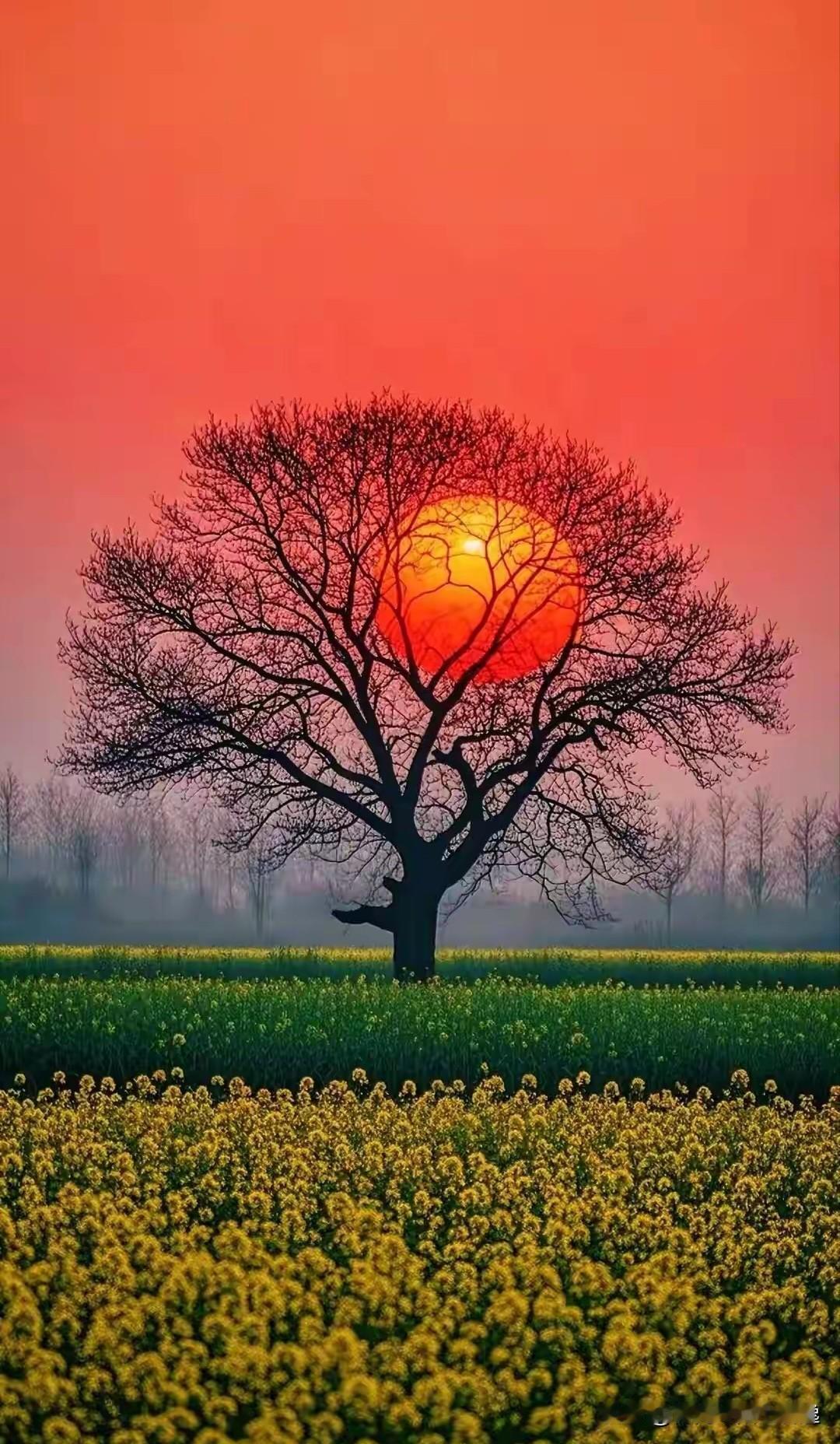 紫陌红尘，谁在初春许我旷世孤独
       ———红尘诗组系列之

一个人站在