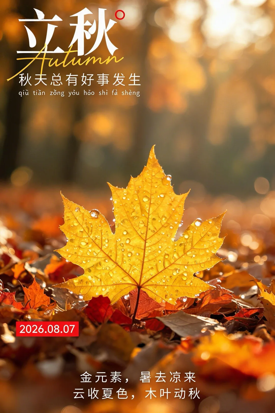 2026立秋节气图片海报壁纸