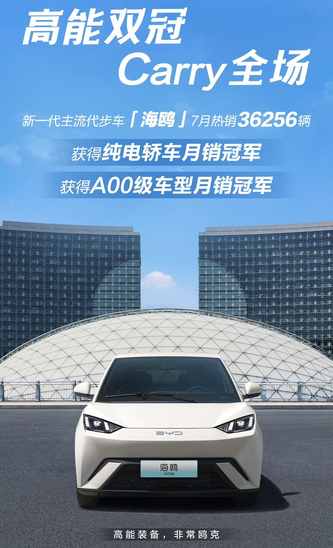 比亚迪海鸥夺冠！纯电轿车销量总冠军，A00级销量冠军，7月卖出36256台，定语