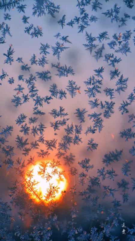 全国大部分地区进入最寒冷阶段，也就是数九寒天。冬至后白昼渐长，黑夜渐短，春天也在