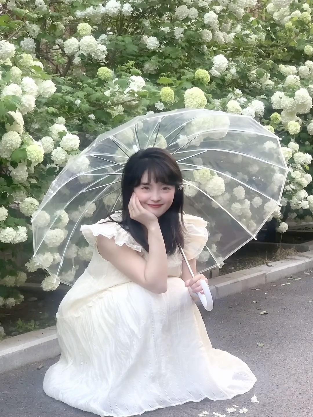 墙角开了一朵小花。