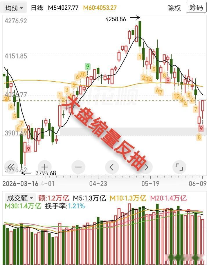 6.9收评，大盘缩量反抽，明天还会不会涨？

今天指数高开下杀，然后一路震荡走高