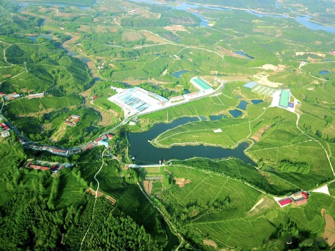 分享一张你拍的美景照片云峰山万亩茶园写生采风基地欢迎大家的到来原创美景随手拍 治