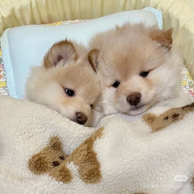 孙天宇和李黑嘿嘿嘿 