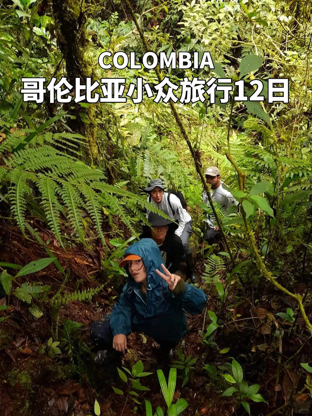 探索南美失落的文明，🇨🇴哥伦比亚小众户外