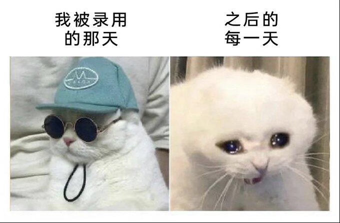每日一笑 