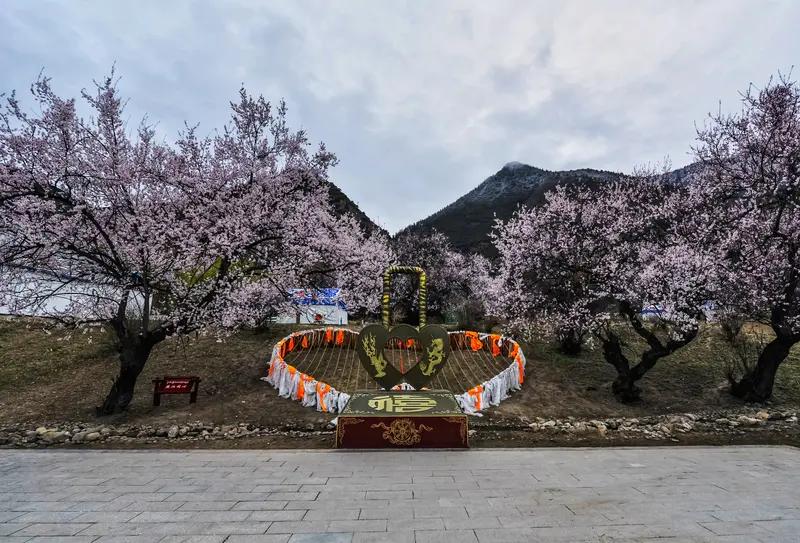 林芝不同月份有不同的美。4 - 5月去很不错。2026年林芝桃花节4月3日开幕，