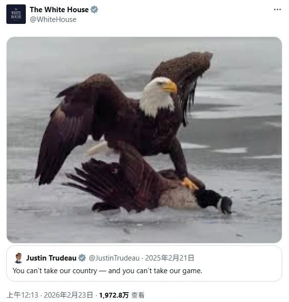 #白宫晒图美国白头鹰痛击加拿大鹅#【白宫发了张图：“美国白头鹰痛击加拿大鹅”】据
