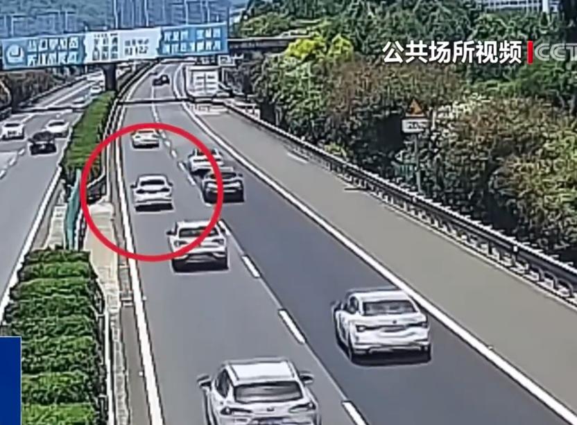 “这技术还敢上高速？”6月23日报道，浙江温州，交警看路面监控，发现一辆小车在高