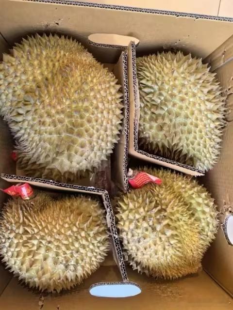 榴莲能降到9块9吗     我觉得九块九不大可能，现在榴莲价格大概是在三十块左右