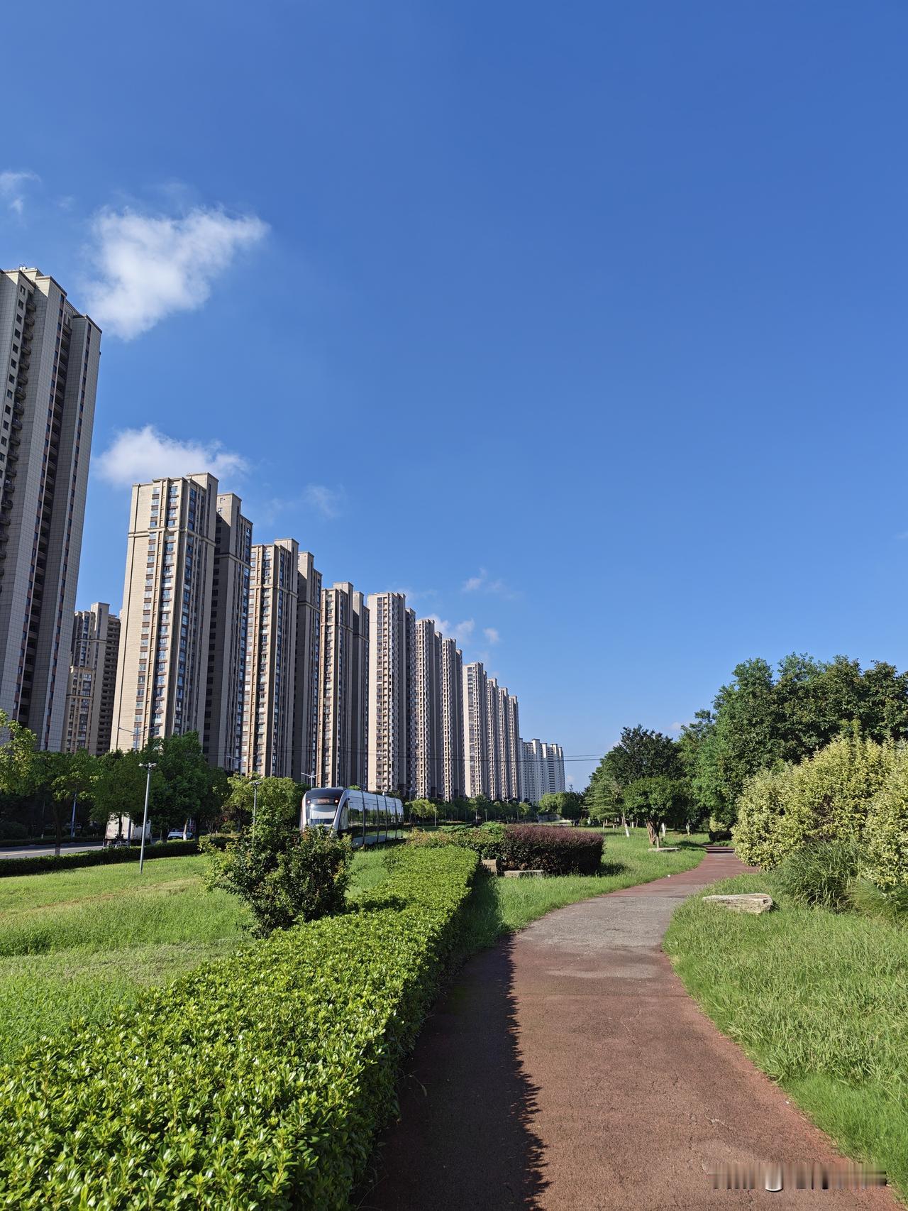 终于出太阳了 ，晴空万里，阳光普照，有阳光的感觉真好。
在家憋了一周， 又可以出