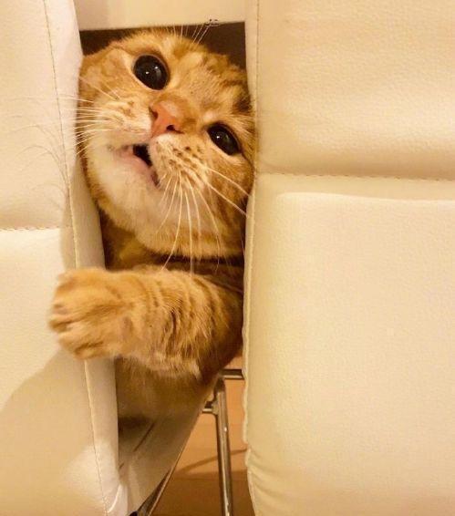 一个粉圈存在问题时，有人愿意说出来其实是对这个粉圈还抱有希望，希望它能变好一点。