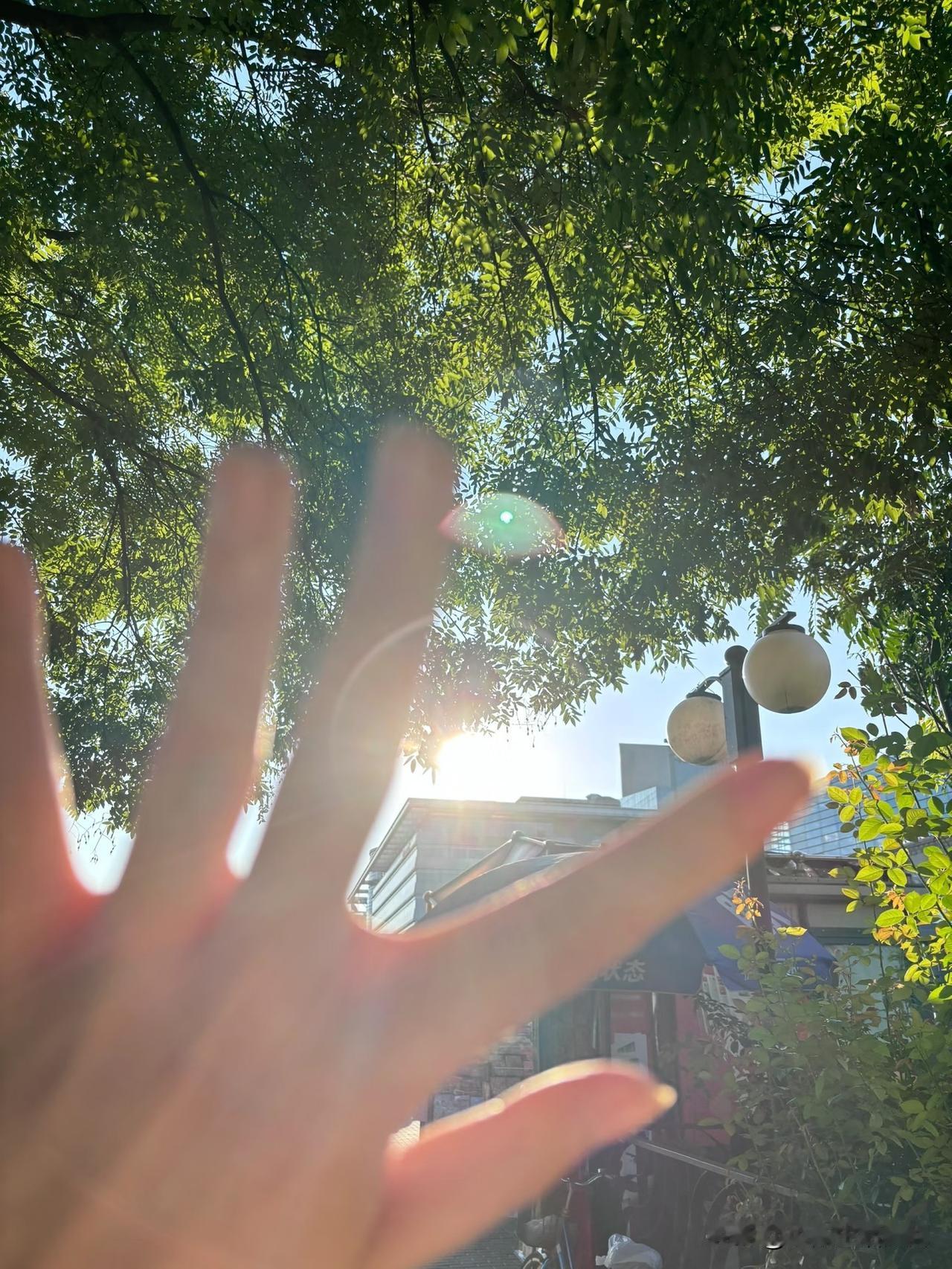早上的阳光依然感觉不到温度
⊙﹏⊙