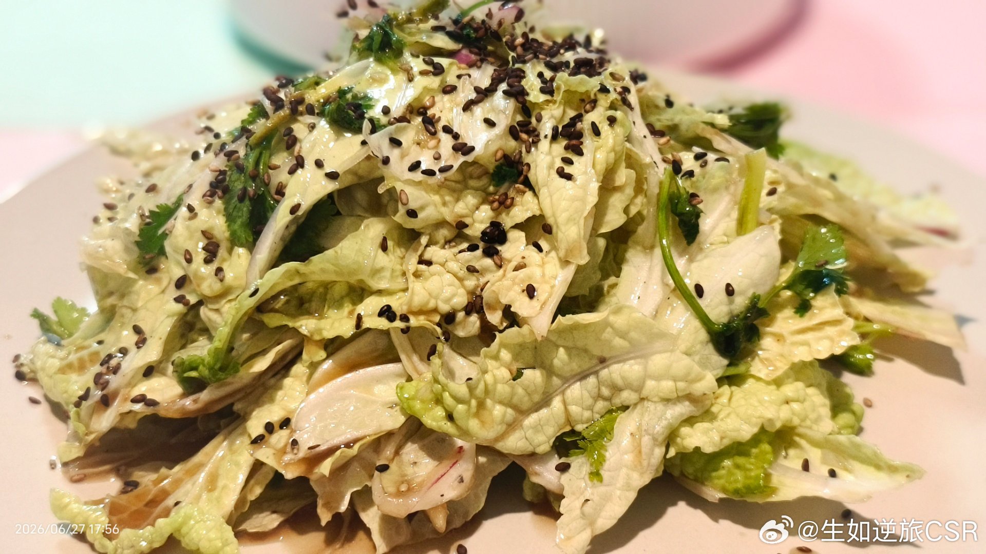 今日晚餐 中午包了白菜肉餡的餃子，留了一坨白菜芯: 嫩菜葉涼拌，簡單的油醋汁就很