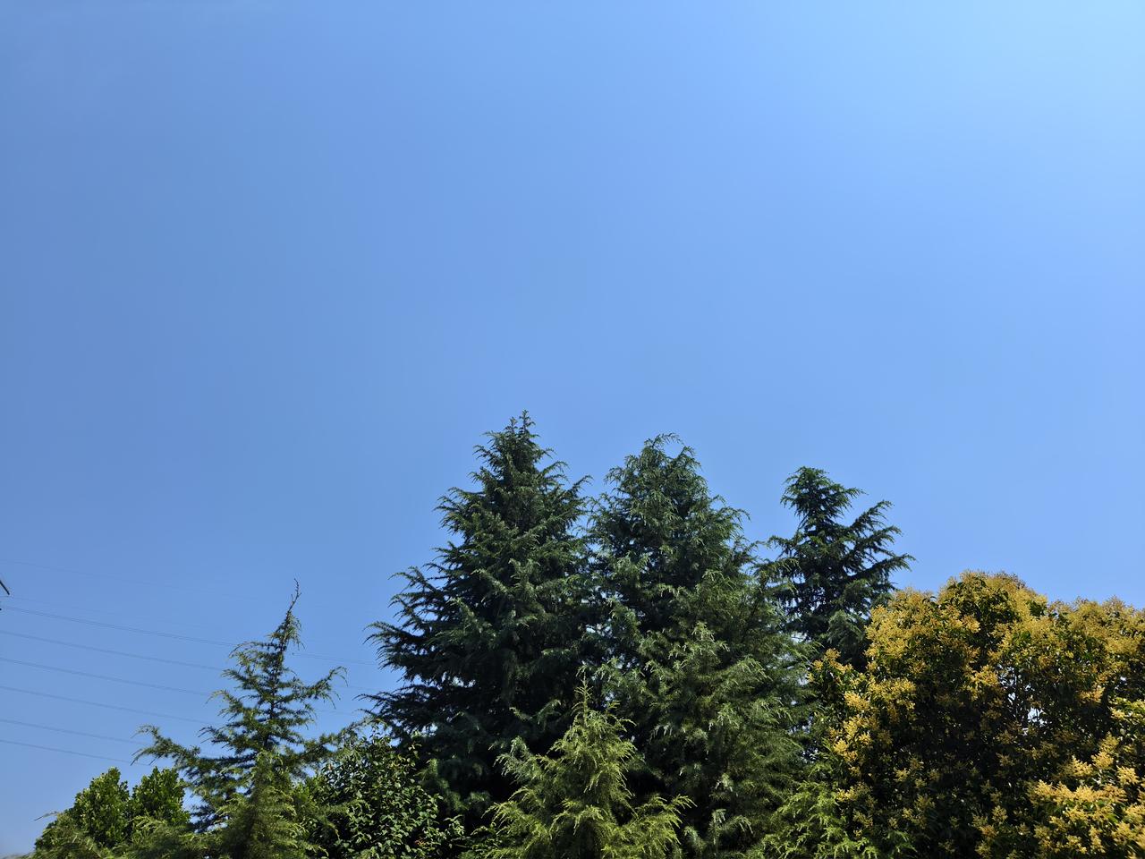 高考结束，刷到不少家长依然焦虑得睡不着觉，总纠结估分高低。 

真心想说句实在话