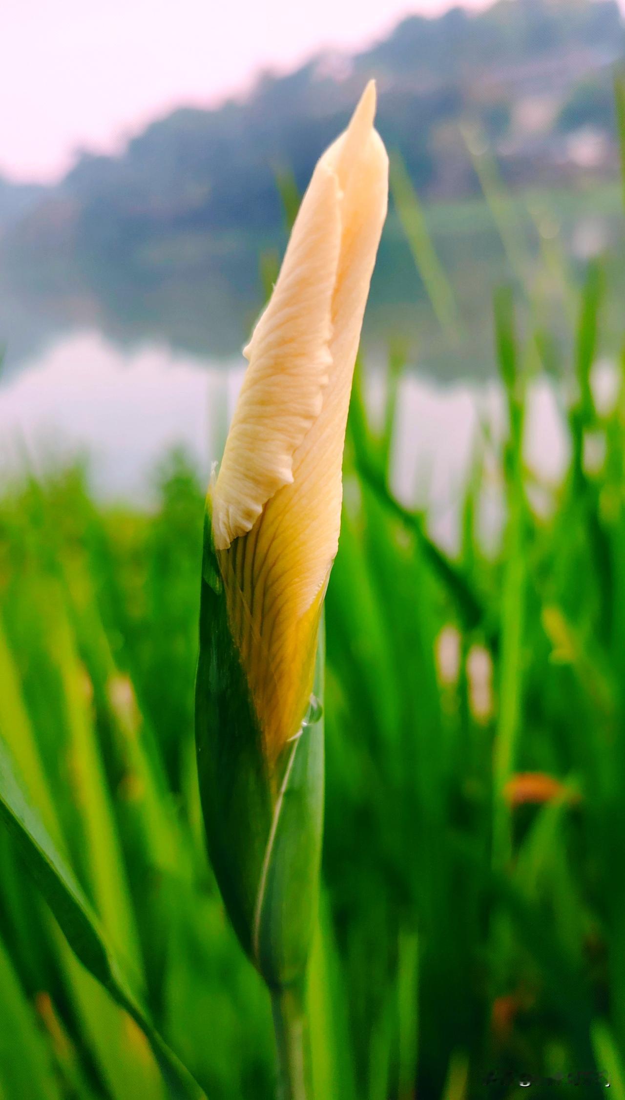 适合做壁纸的风景照片