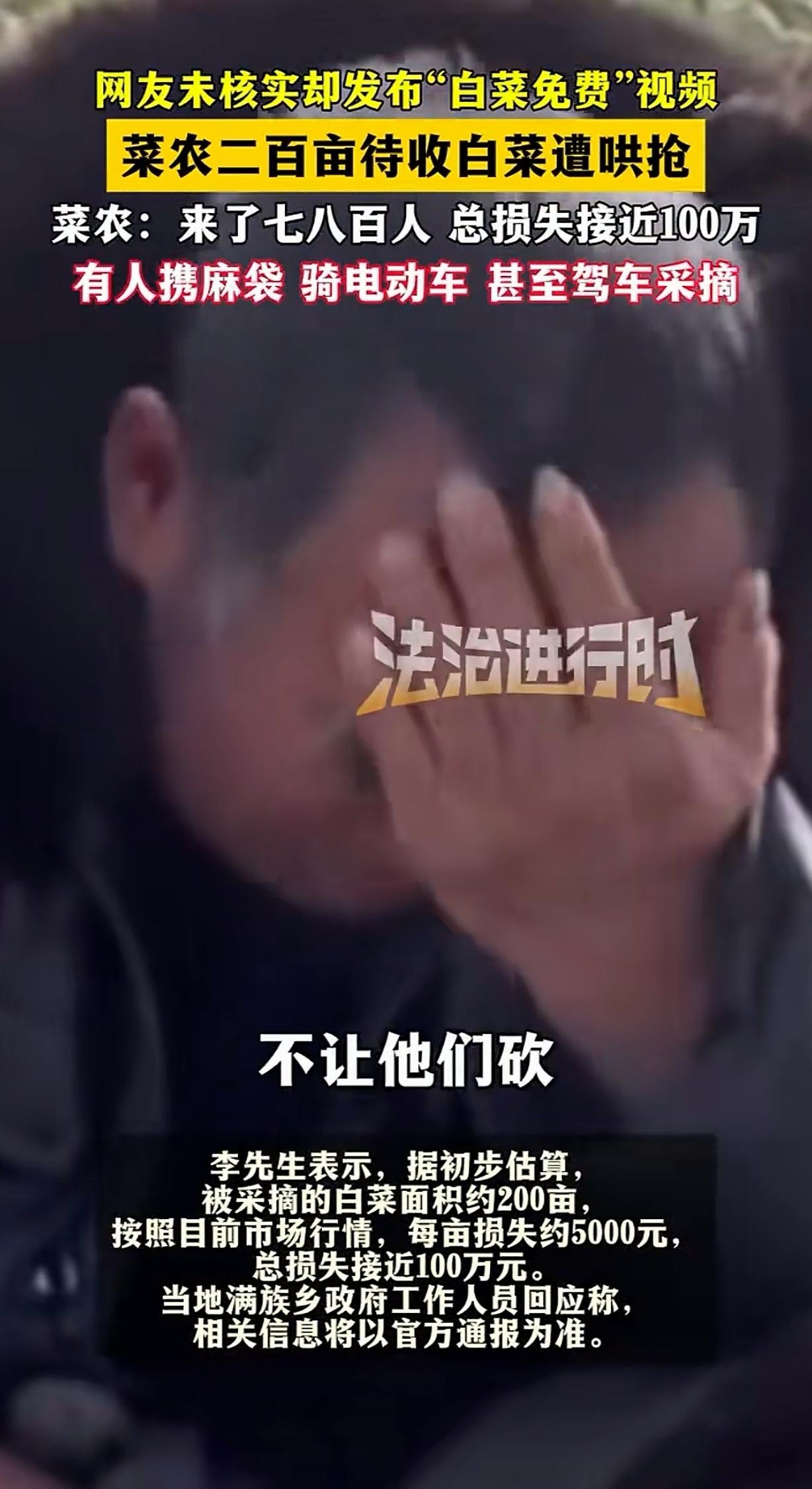 “这是什么世道！”内蒙古赤峰，男子承包了200亩地种大白菜，辛苦了一年，眼瞅着要