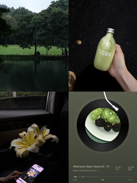 º·📗⋆₊⊹𝚂𝚞𝚖𝚖𝚎𝚛 𝚟𝚒𝚋𝚎🥛˚ 🍏₊˚