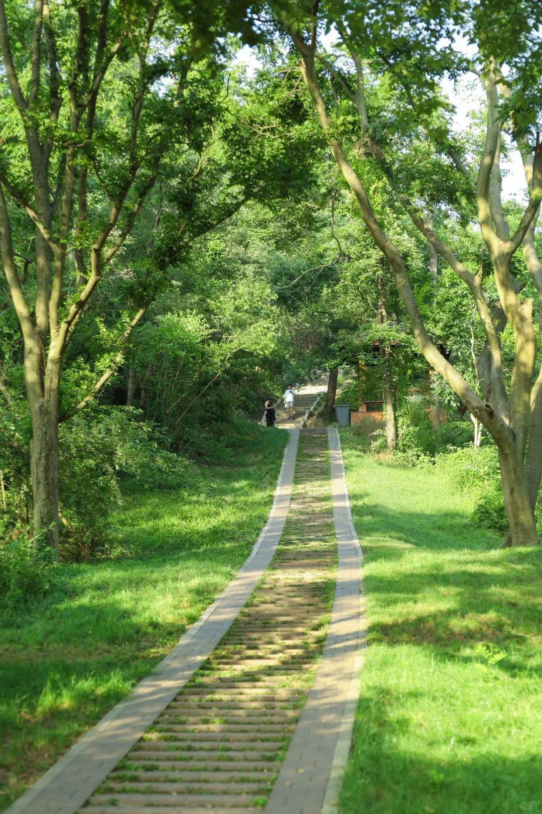 武汉舍不得公开的9个绿色秘境❗️治愈焦虑