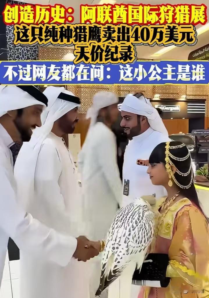 真是大开眼界！
阿联酋这场国际狩猎展直接刷新认知，一只纯种猎鹰居然拍出40万美元