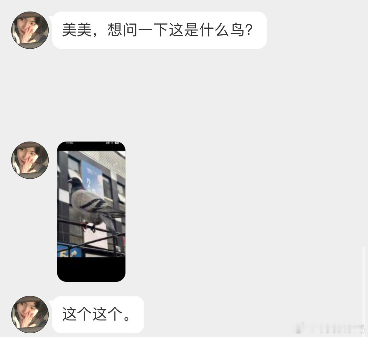 填空题环节～（  ）子！这下都会了吧？