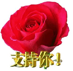 支持土耳其提议，重新构建国际和平组织，应对西方邪恶势力，维护世界和平发展道路。