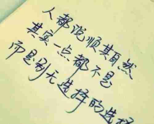 我的今日状态：🏝️旅行度假
我这里的天气：🍂微风