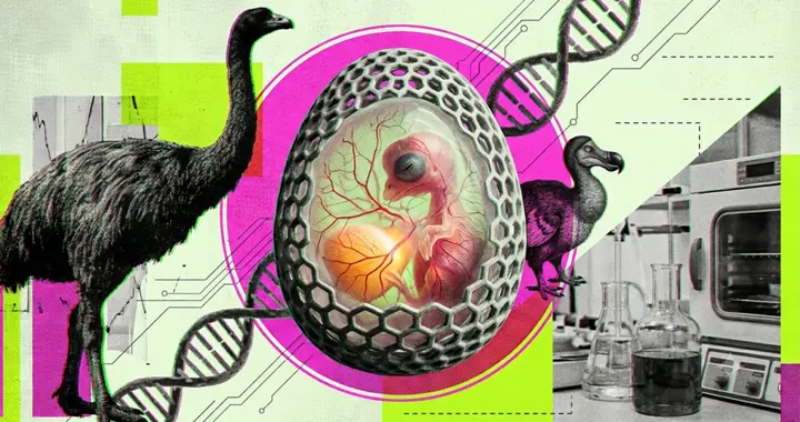 他们想用一颗3D打印的蛋，孵出600年前灭绝的巨鸟