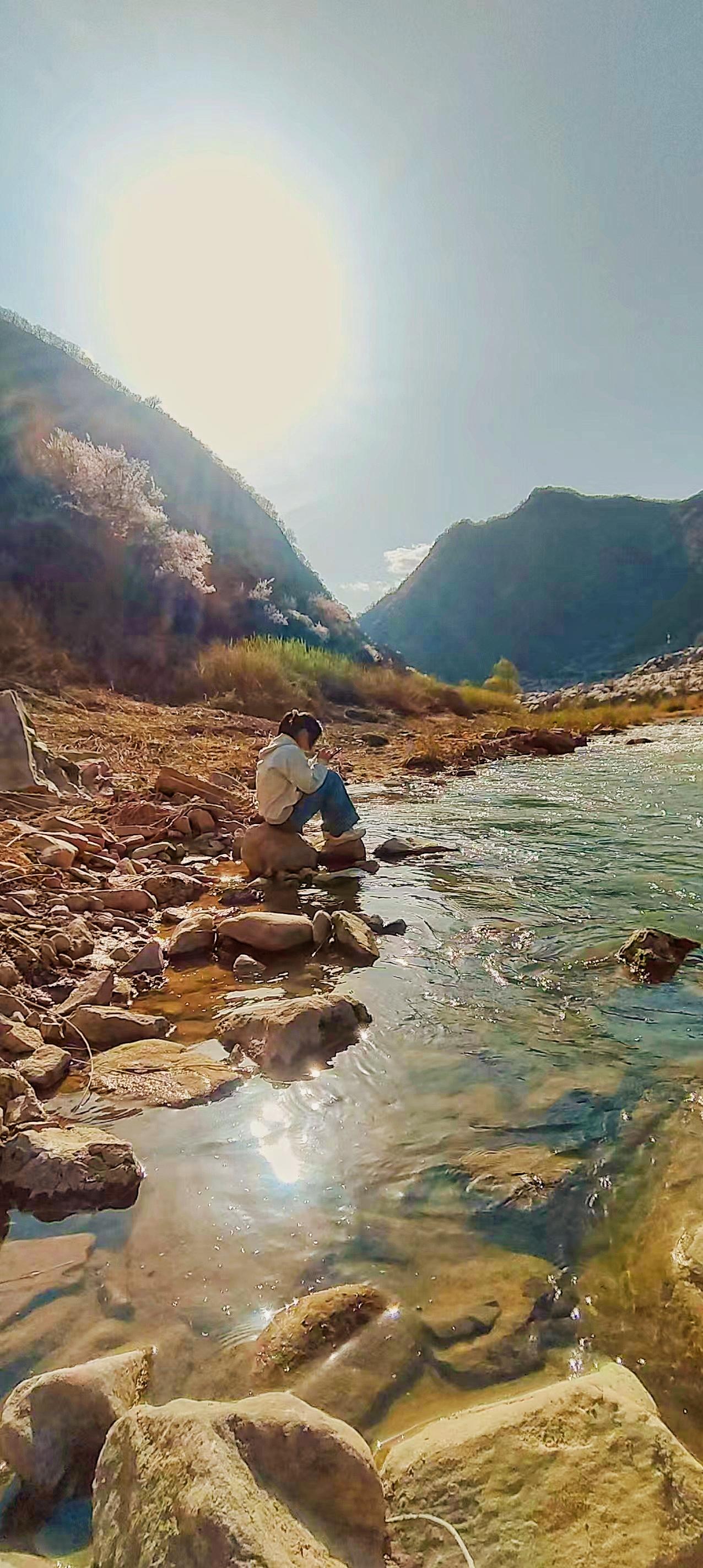 随手拍张照上了年龄了就喜欢治愈系的