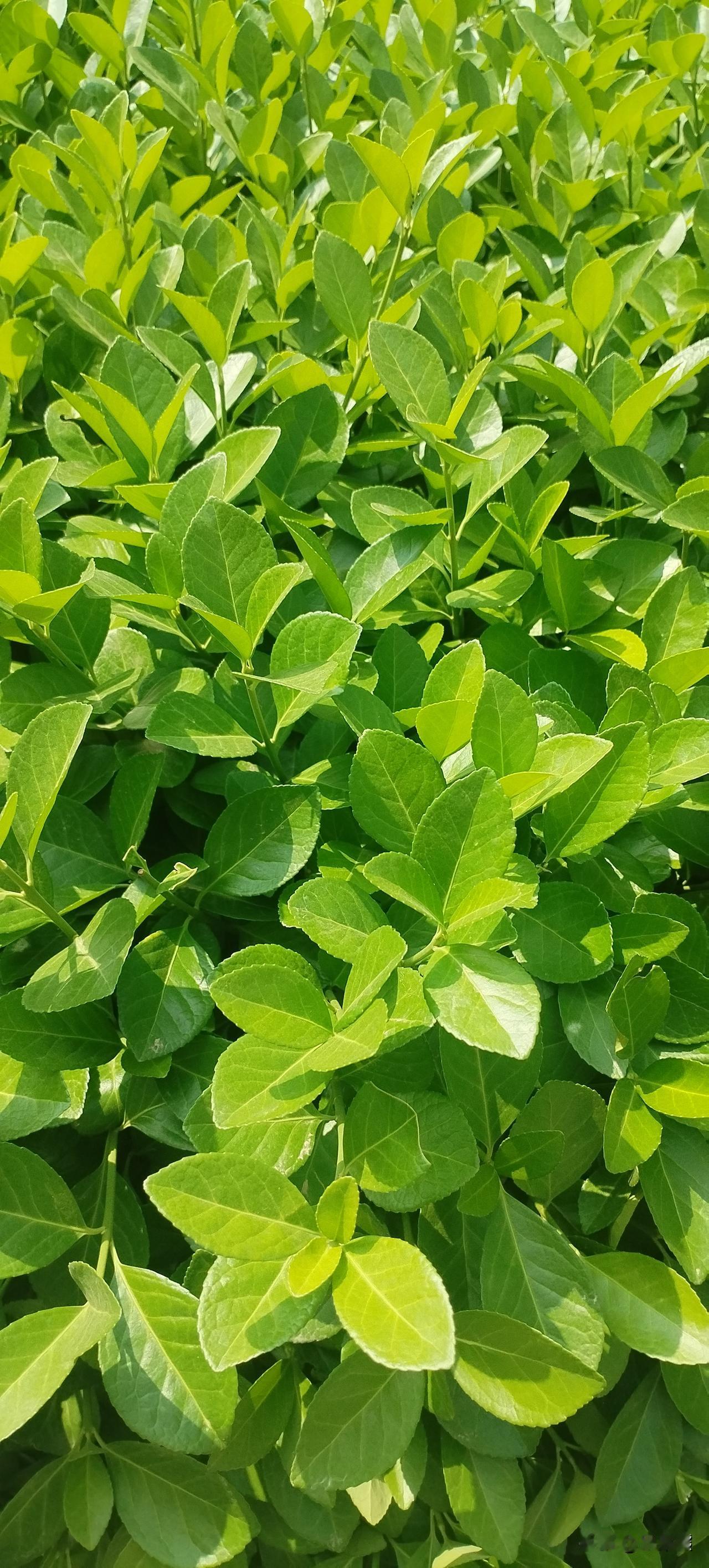 小时候玩的最多的就是磨具和跳绳。
给大家盘点一下，我小时候都玩过什么：玩过磨具，