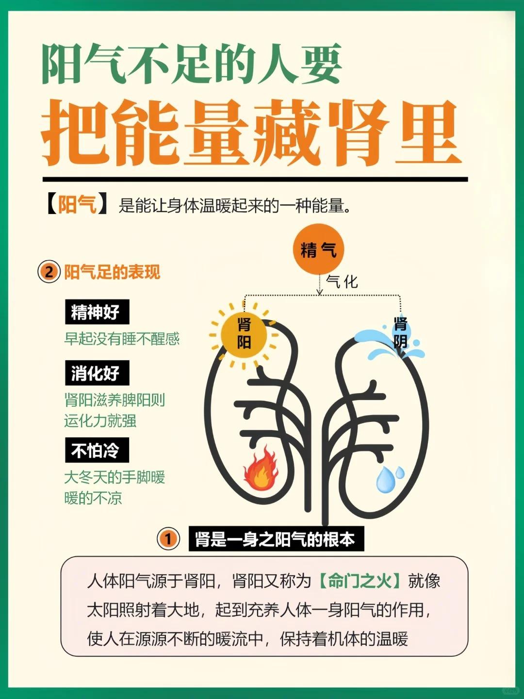 阳气不足的人，要把能量藏肾里！